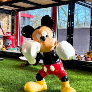 Mickey boxeur